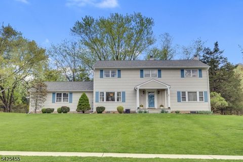 456 Steeplechase Ln Bridgewater Twp. NJ 08807