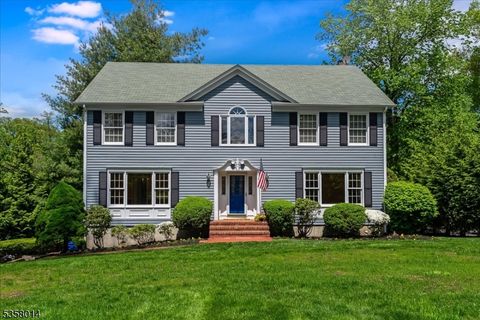 21 Beechwood Dr Morristown Town NJ 07960