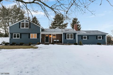 24 Wharton Way Bernards Twp. NJ 07920