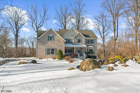 205 Hogan Ct Bethlehem Twp. NJ 08802