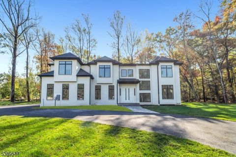 794 Blauvelt St River Vale Twp. NJ 07675