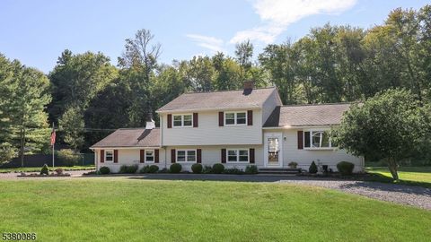 21 Indian Rock Rd Warren Twp. NJ 07059