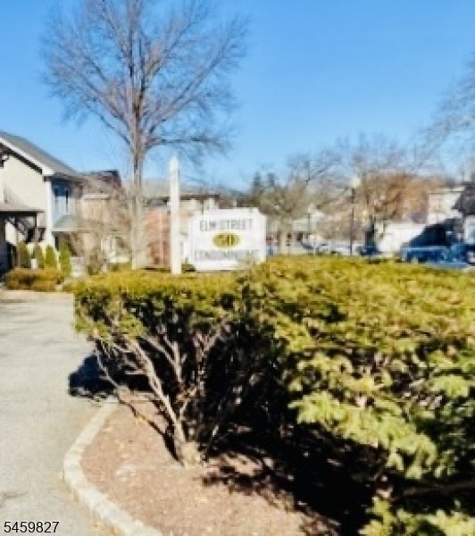48-50 Elm St 8A