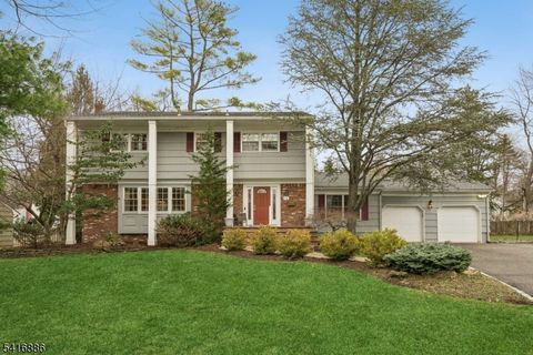 12 Troy Dr Livingston Twp. NJ 07039