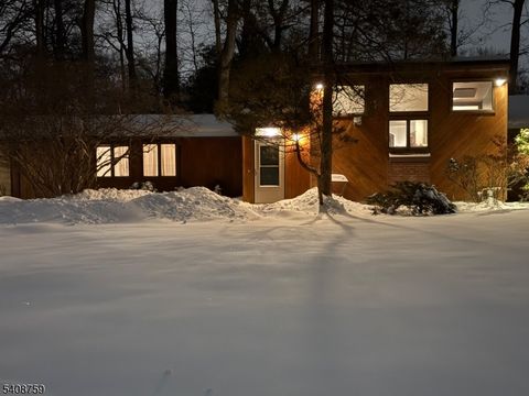 Photo of 41 Moraine Road, Parsippany, NJ 07950 (MLS # 4007585)