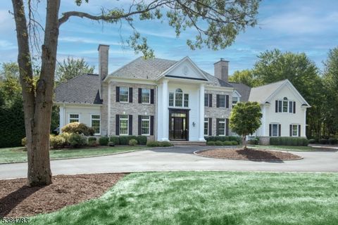 234 Liberty Corner Rd Bernards Twp. NJ 07931