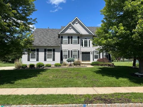 30 Julie Ct Franklin Twp. NJ 08873
