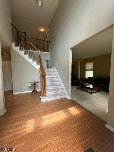 30 Julie Ct