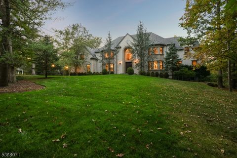 40 High Oaks Dr Watchung Boro NJ 07069