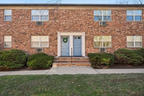 19 Savage Rd, B6 6 Denville Twp. NJ 07834