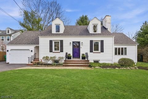 81 MOUNTAIN AVE Mendham Boro NJ 07945