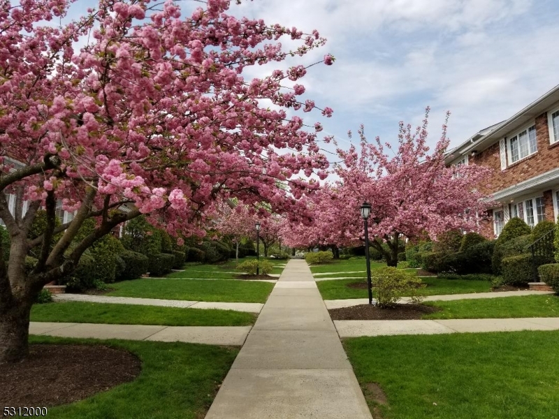 777 Springfield Ave 17