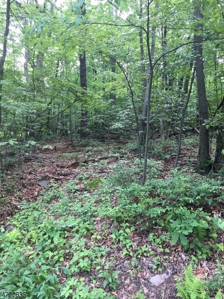 Featured picture for the property 3873450