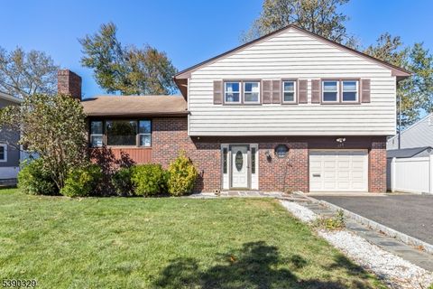 294 Mountain Ave Springfield Twp. NJ 07081