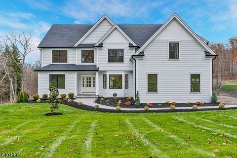 65 Old Forge Rd Long Hill Twp. NJ 07946