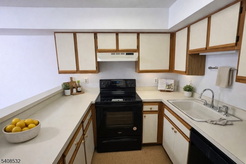 19 Plauderville Ave 101