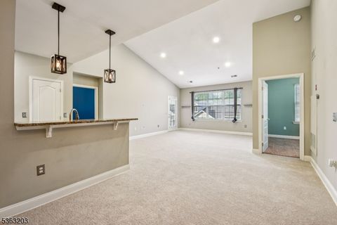 1309 Meadow Brook Ct Hanover Twp. NJ 07981