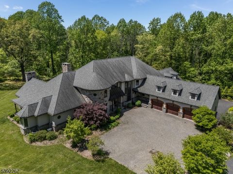 Photo of 152 White Bridge Rd, Franklin, NJ 08867 (MLS # 3993452)
