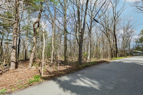 Photo for 11 Alamoosook Rd