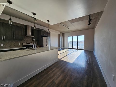 58 Elm St 501 Newark City NJ 07105