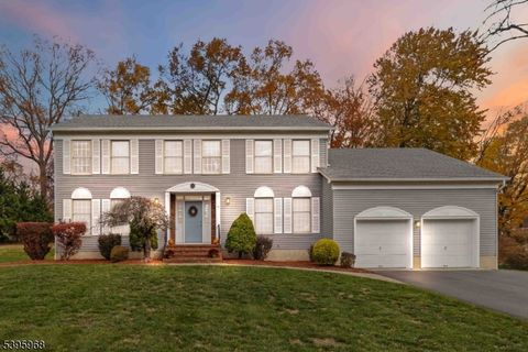 14 Braemar Ct Parsippany-Troy Hills Twp. NJ 07054