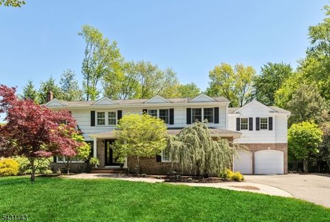 411 Snyder Rd Wyckoff Twp. NJ 07481