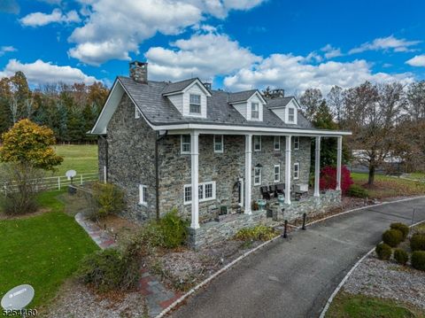 259 COUNTY ROAD 519 Kingwood Twp. NJ 08559