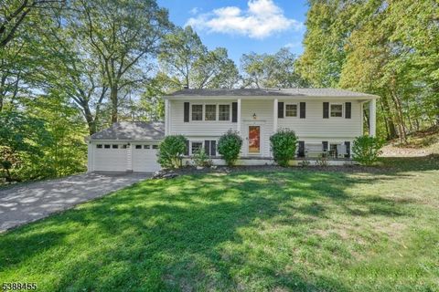2 Sheeprock Rd Kinnelon Boro NJ 07405