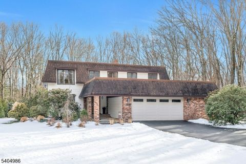 359 Hillview Ter Franklin Lakes Boro NJ 07417