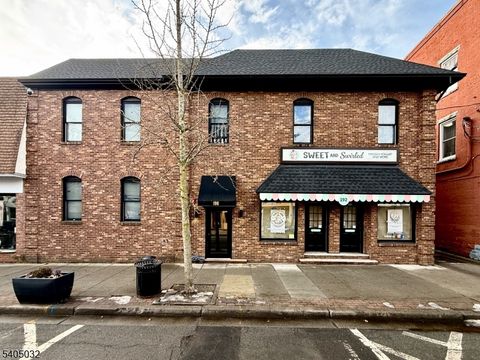 196 Spring St 1 Newton Town NJ 07860