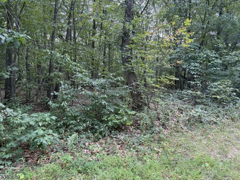15 Saw Mill Rd