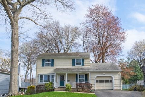 89 Sykes Ave Livingston Twp. NJ 07039