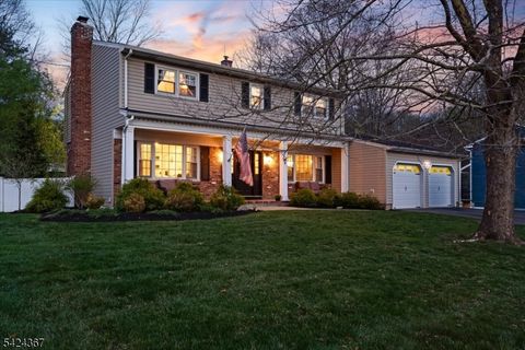 25 Jay St Roxbury Twp. NJ 07876