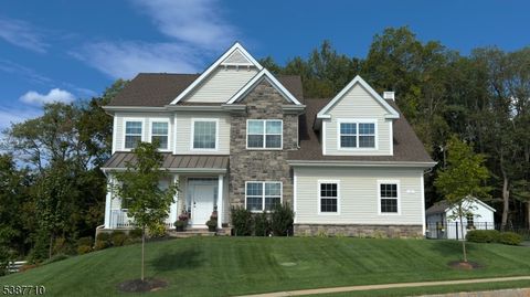 9 Sanderson Ct Readington Twp. NJ 08889