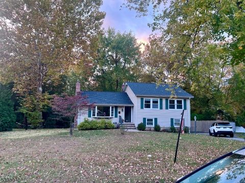 10 Rale Ter Livingston Twp. NJ 07039