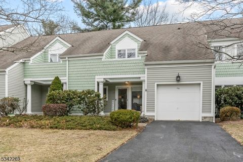 114 Sleepy Holw Sparta Twp. NJ 07871