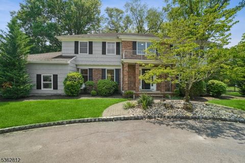 8 Debra Ct Scotch Plains Twp. NJ 07076