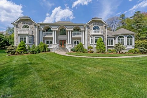 17 Constitution Ave Roxbury Twp. NJ 07876