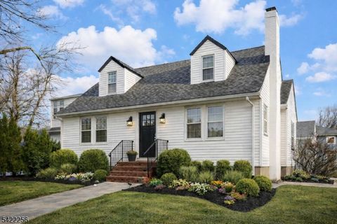 56 Diven St Springfield Twp. NJ 07081