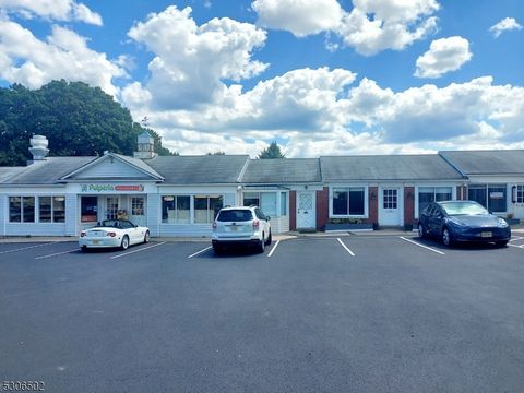117 Broad St - Suite 5 Flemington Boro NJ 08822