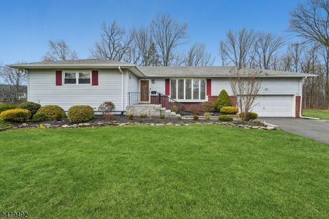 25 Victoria Dr Clark Twp. NJ 07066