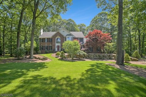 4 Knollwood Ter Chester Twp. NJ 07930