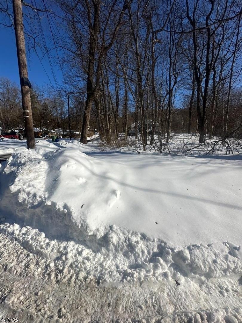 2 Pine Dr