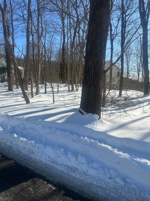 2 Pine Dr Liberty Twp. NJ 07823