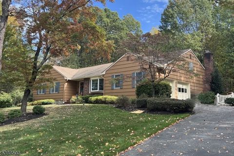 Photo of 32 Radcliffe Dr, Roxbury, NJ 07876 (MLS # 3991443)