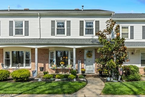 12 Maddaket Court Scotch Plains Twp. NJ 07076