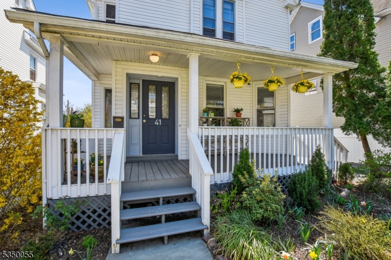 41 Forest St