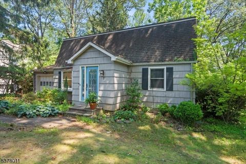 3 Fernwood Trl Mountain Lakes Boro NJ 07046