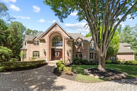 14 Stewart Ct Old Tappan Boro NJ 07675