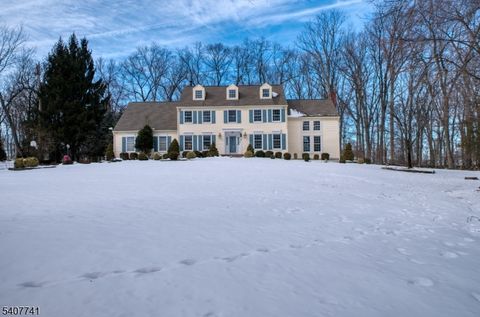 40 Rustic Trl Raritan Twp. NJ 08822